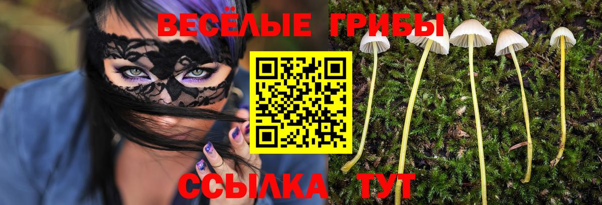 Псилоцибиновые грибы прущие грибы  Вход с VPN  Галлюциногенные грибы прущие грибы  Магнитогорск 